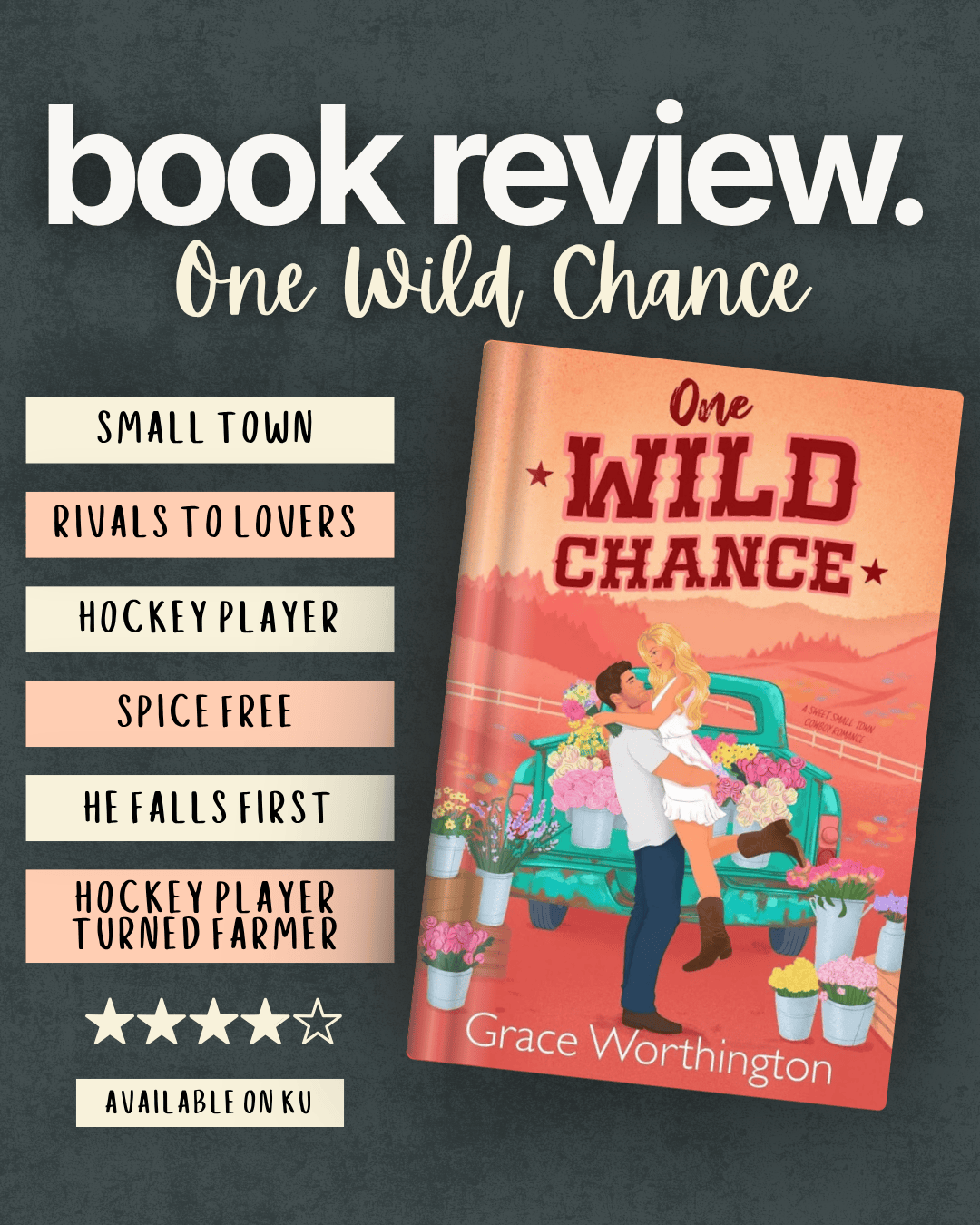 A graphic showcasing One Wild Chance by Grace Worthington - the tropes and stars.