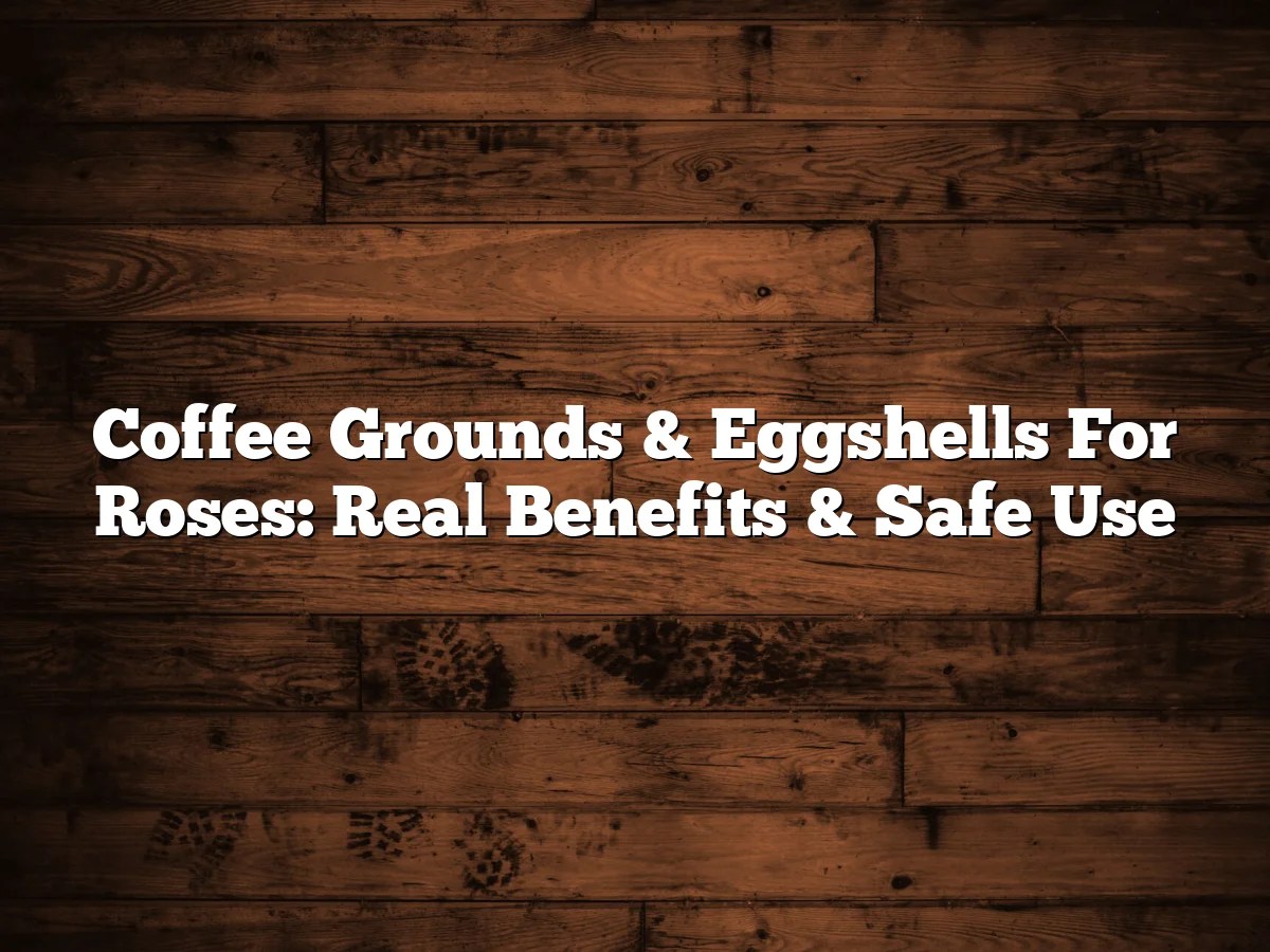Coffee Grounds & Eggshells For Roses: Real Benefits & Safe Use
