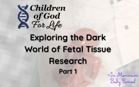 Exploring the dark world of vaccines and fetal tissue research: Part 1