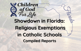 Showdown in Florida: Compiled Media