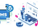 Cms Website Development Cognito Js