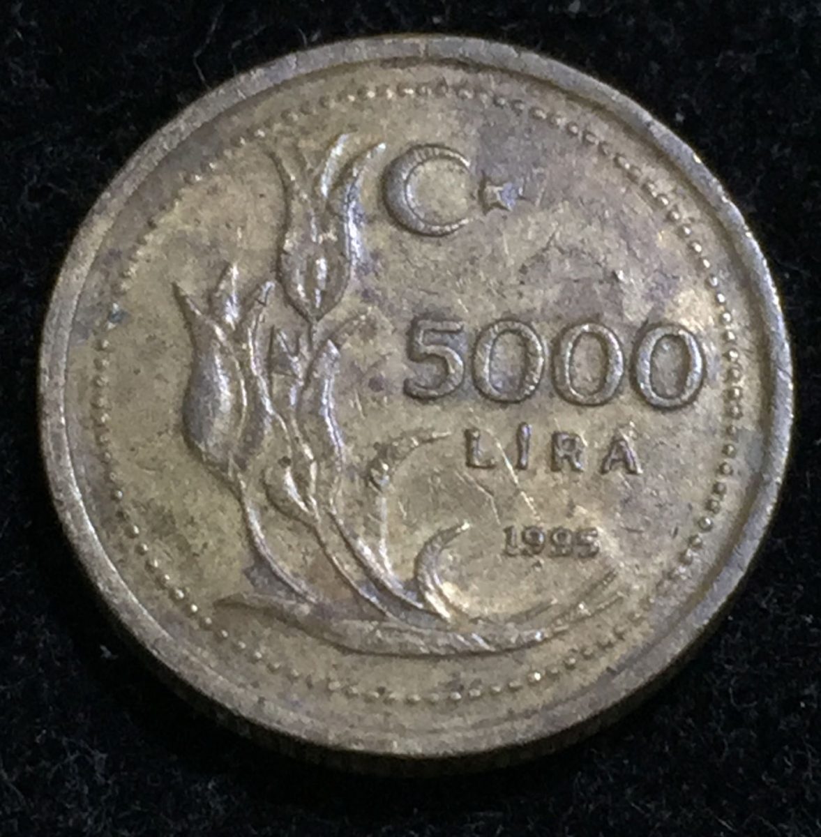 Turkey 5000 Lira 1995 Rare Coin Lowest price #I-135