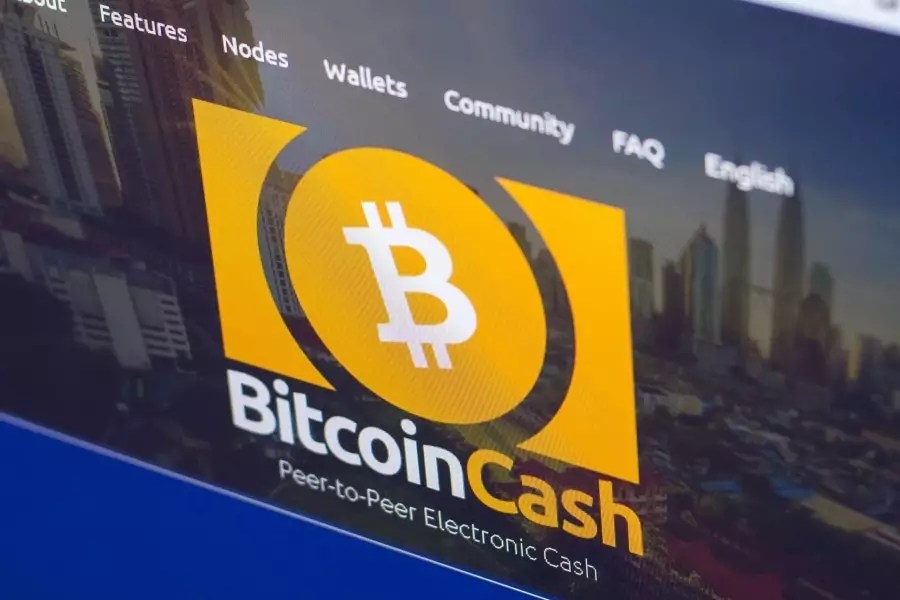 Investing can help fund your retirement, earn a passive income, and build your net wo. Is Bitcoin Cash Bch A Reliable Investment Now Coindoo
