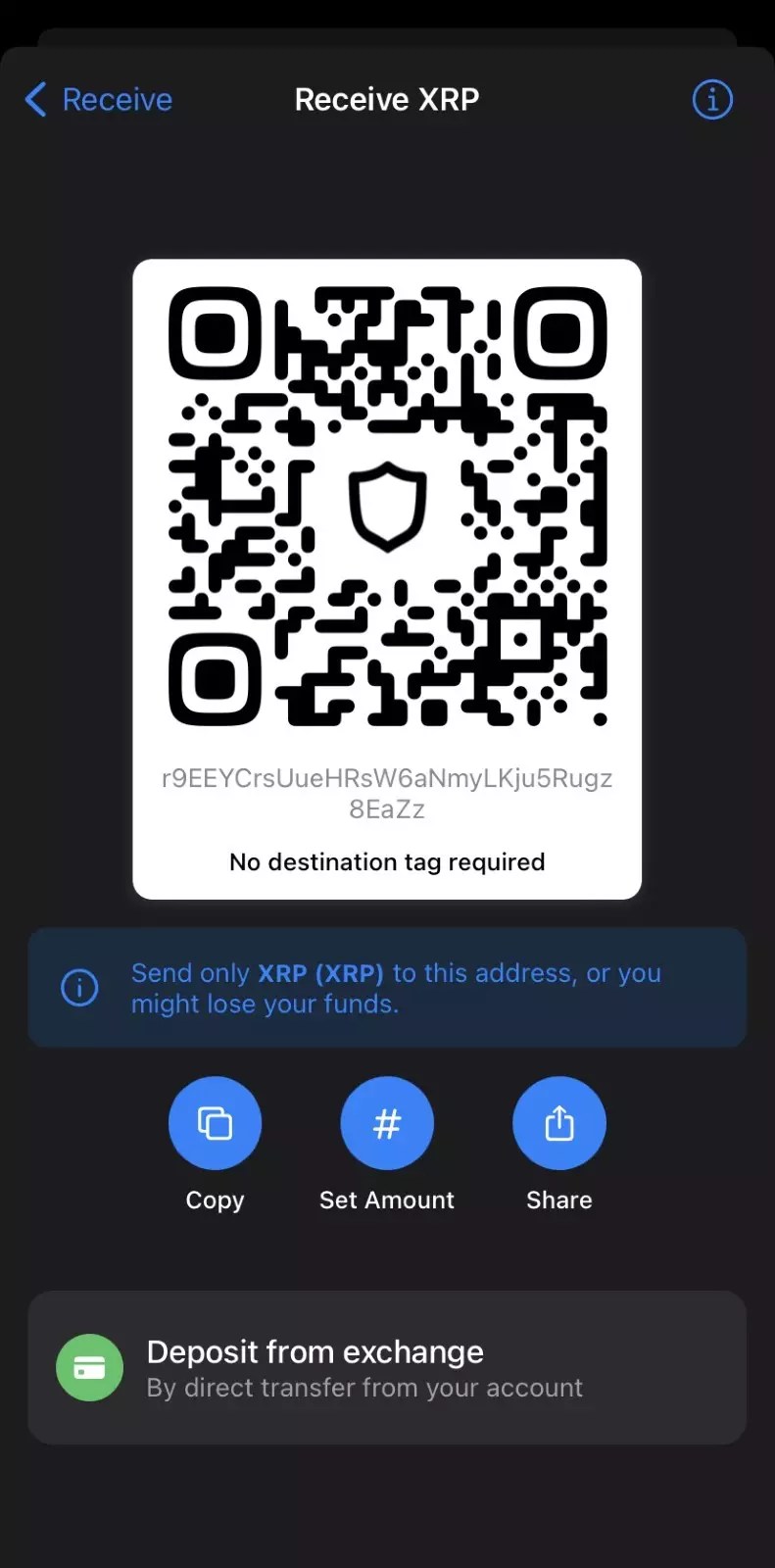 Scan the QR code or copy your wallet address;