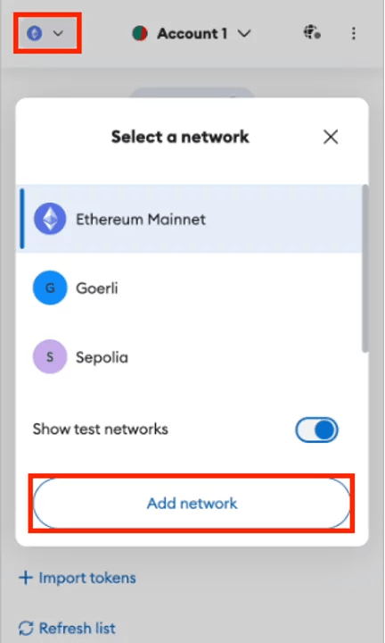 Click the "Add Network" button on the network selector section.