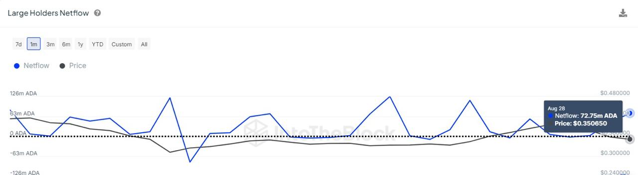 activity from large holders