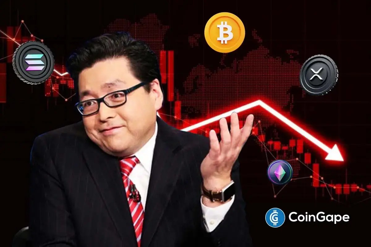 Crypto Crash Deepens as Tom Lee Warns of “Painful Decline” in 2026 Before Late-Year Bounce