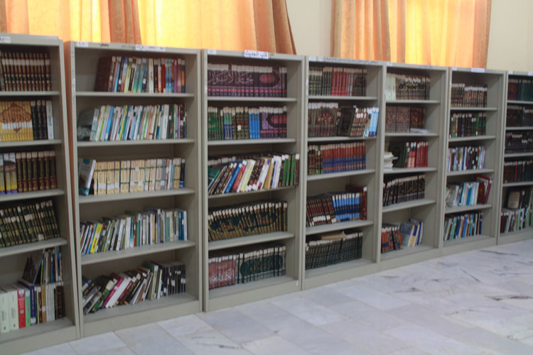 library of the college 2