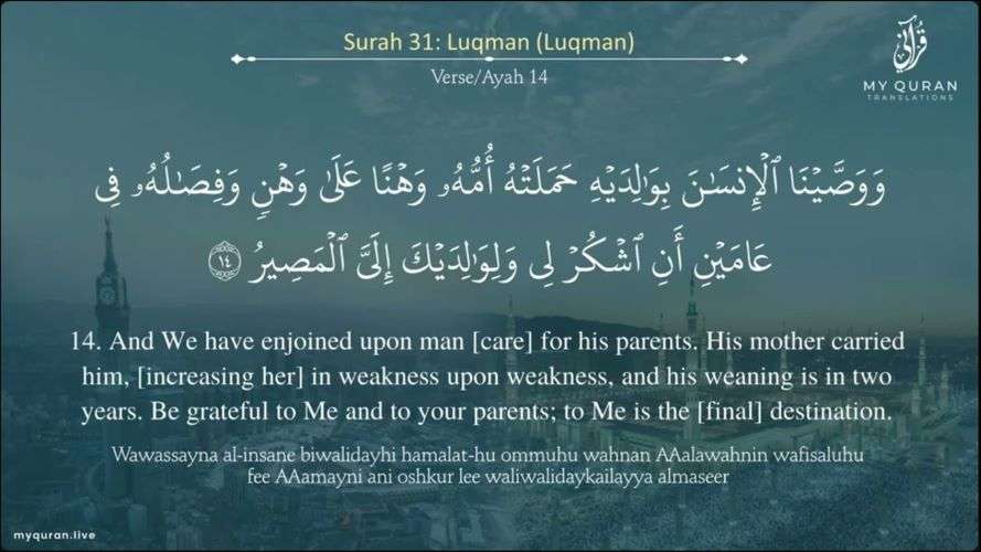 Read more about the article Obedience to Parents… A Qur’anic Value