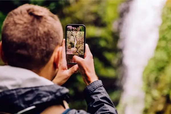 Capture a Essência da Mata com Fotografia de Paisagens