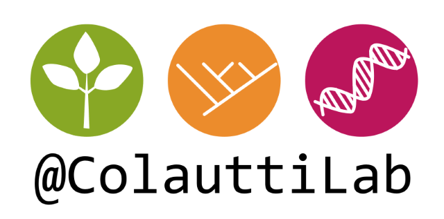 Colauttilab Colautti Lab Github - Premium City Background Gallery - HD