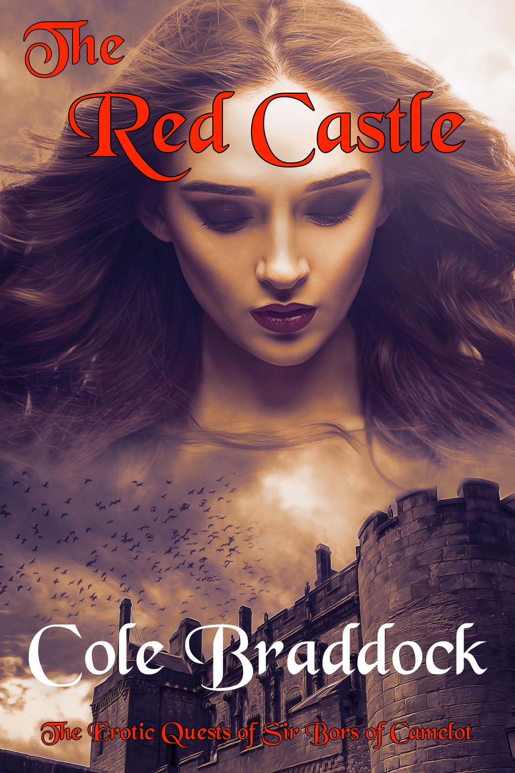 Book Cover: The Red Castle