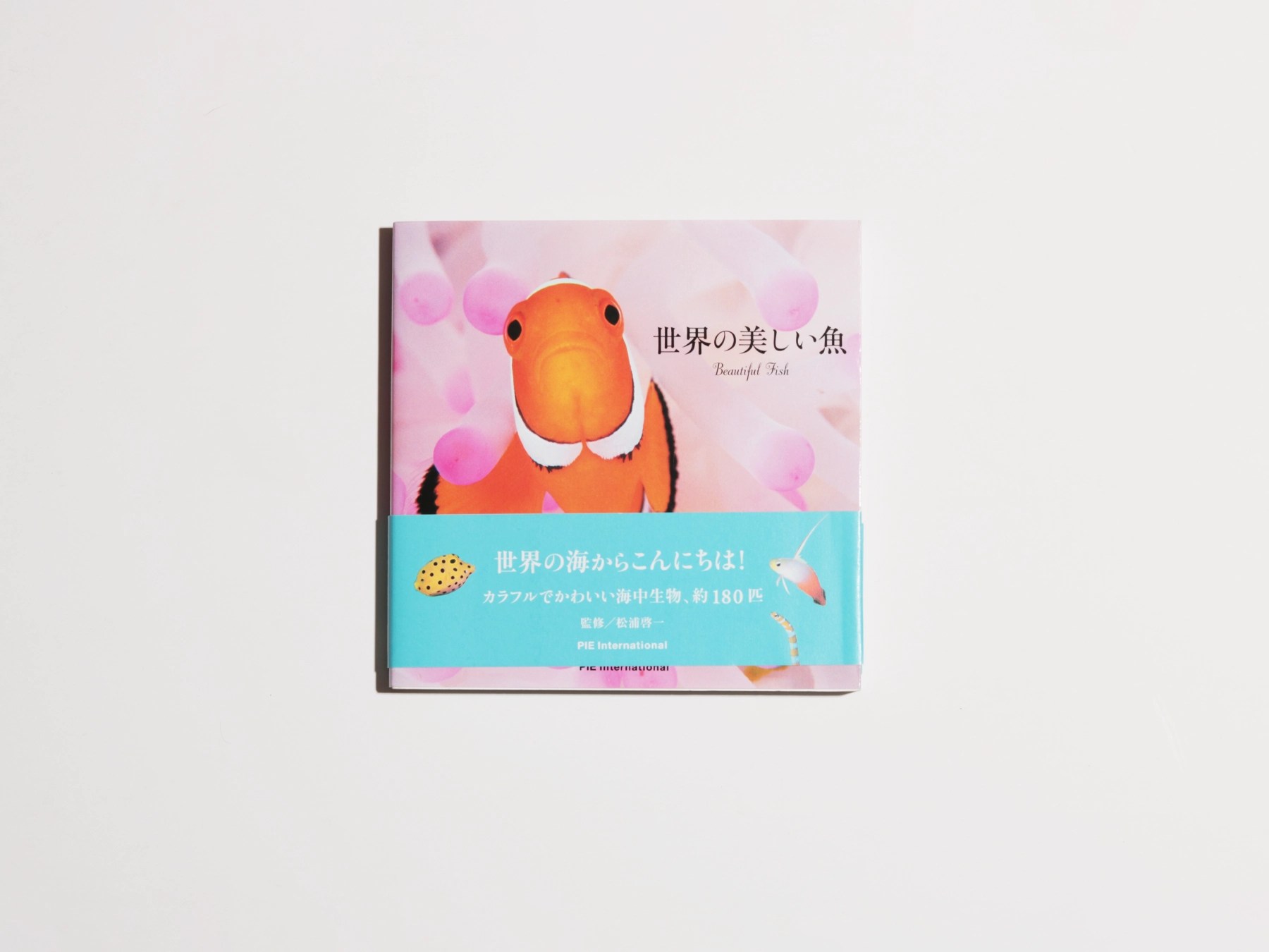 HPDM_02