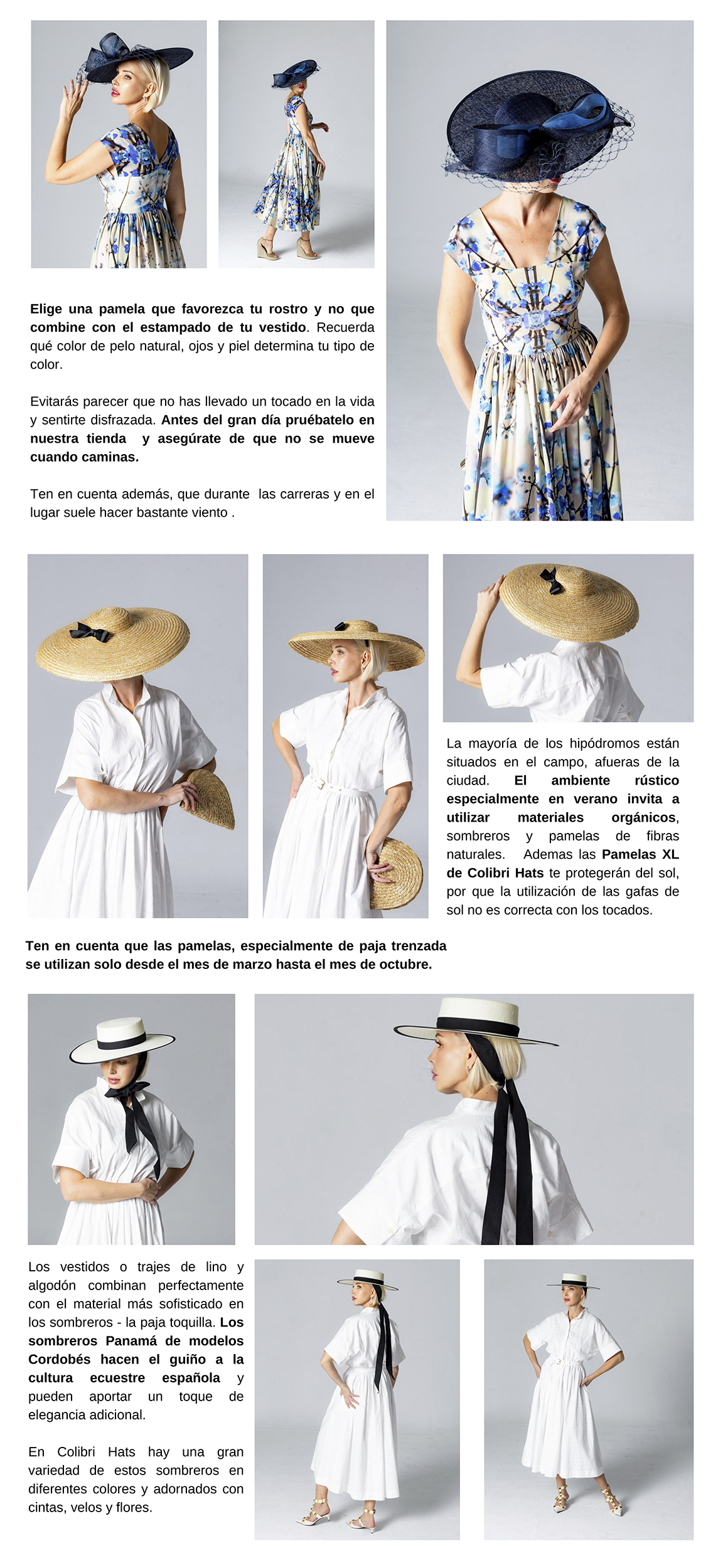 Tocados y Pamelas by Colibri Hats
