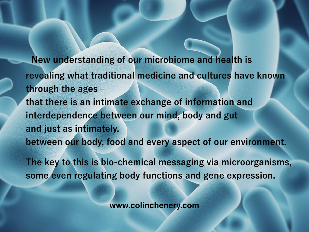 The Revolutionary Key to Optimal Health and Energy – Part II