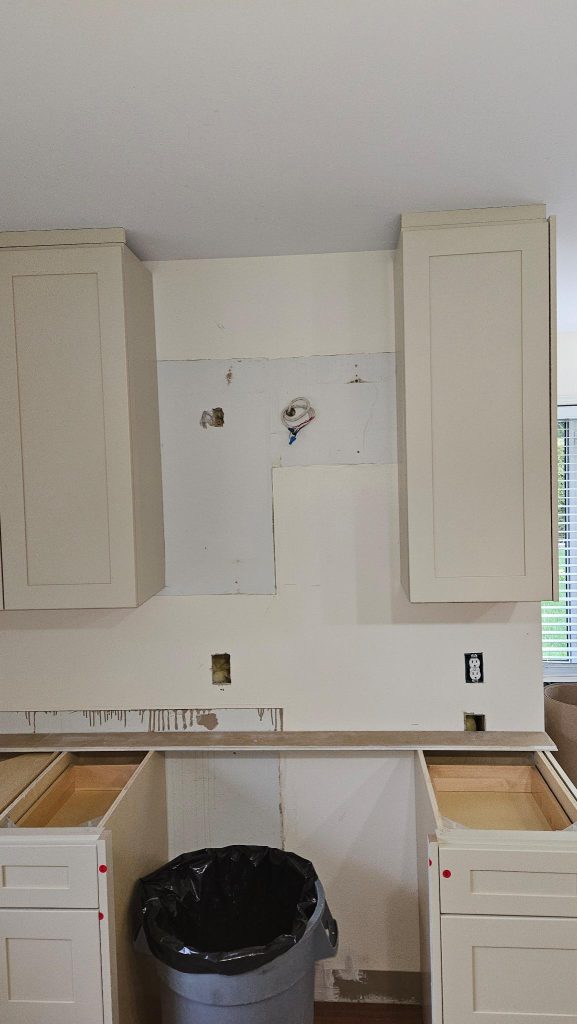 Kitchen reno