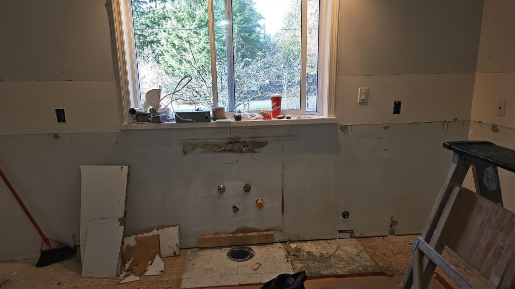 Kitchen reno