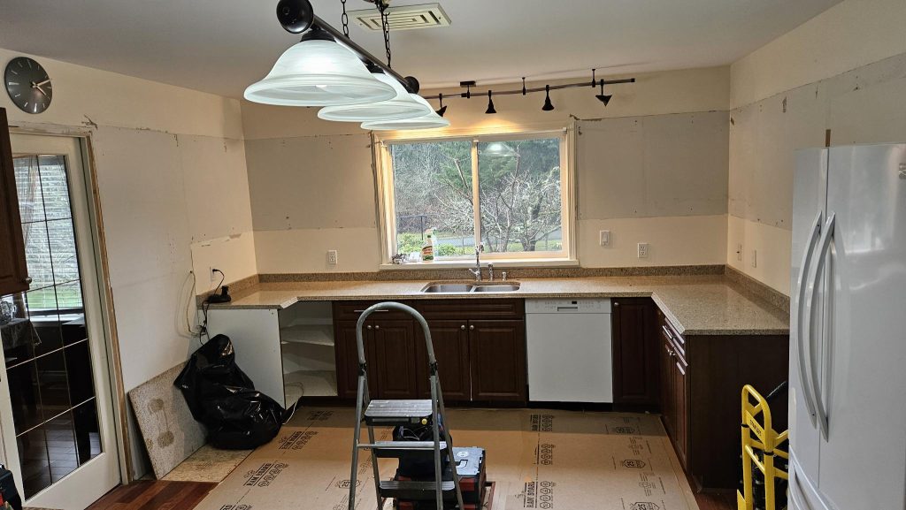Kitchen reno