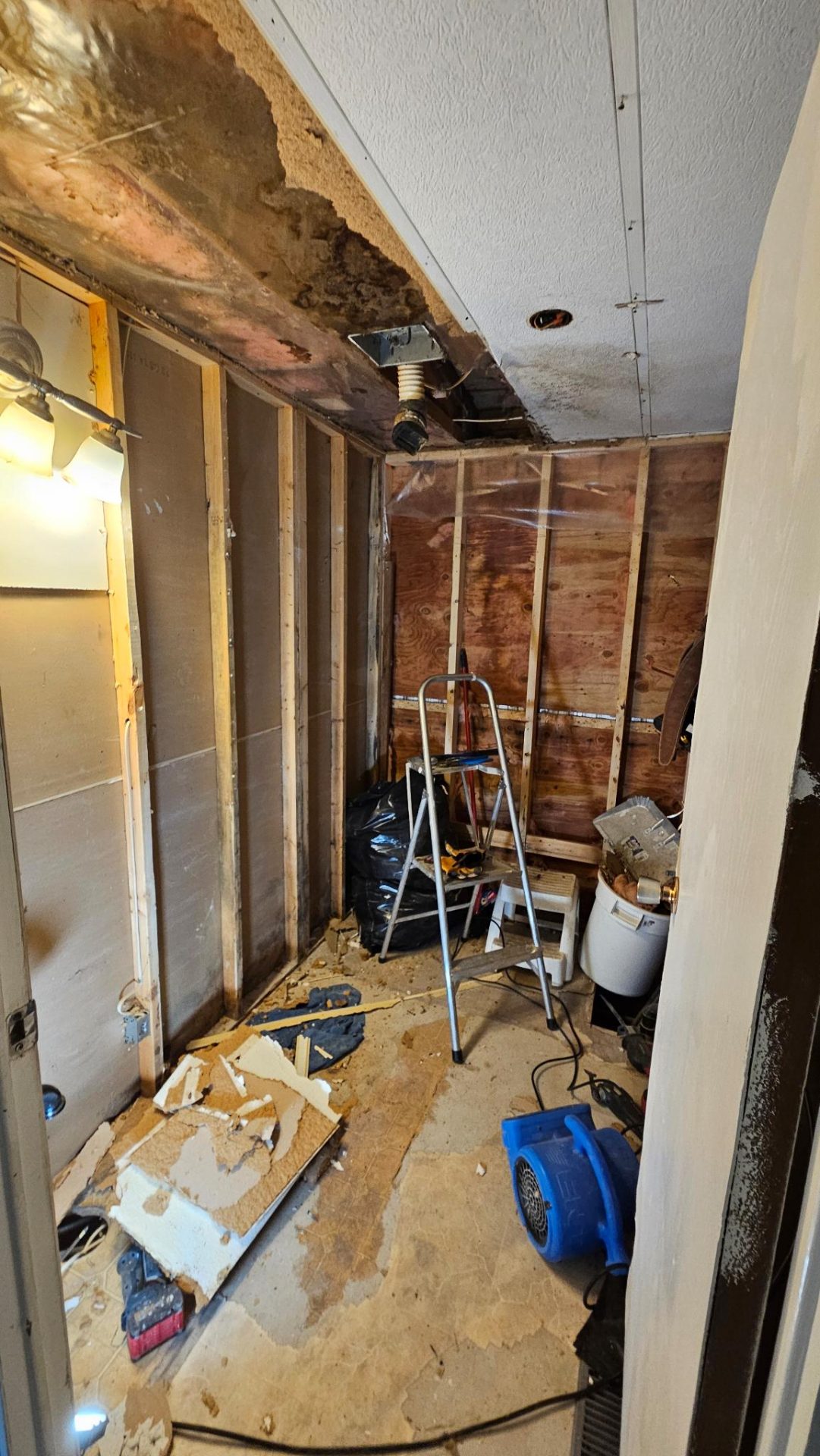 Shawnigan bathroom reno during