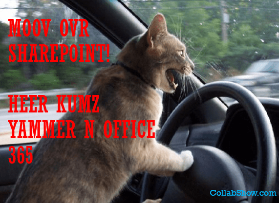 Move over SharePoint