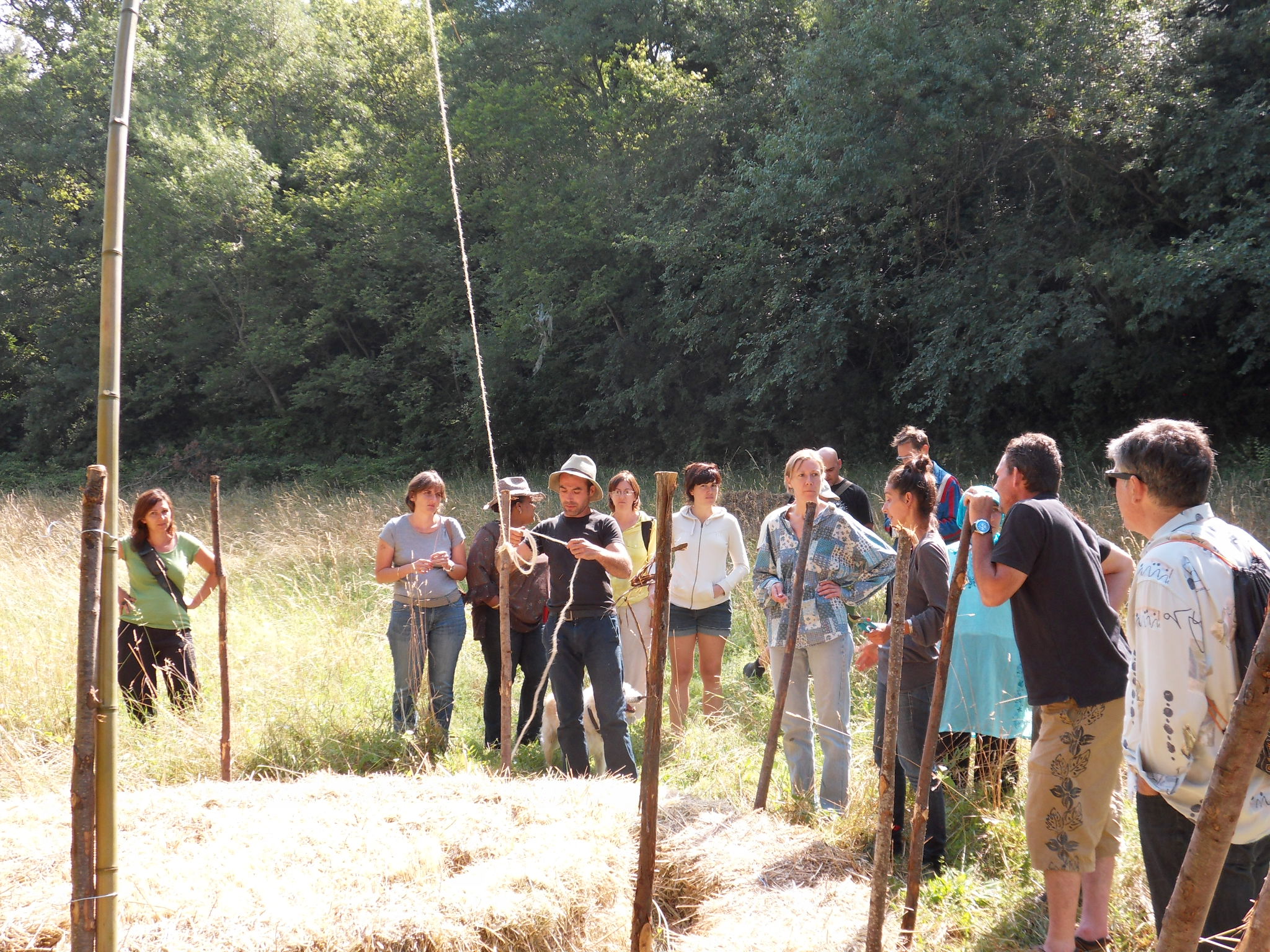 Construction vegetales