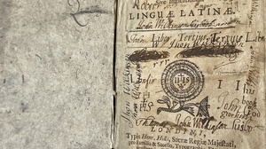 Reed Cats Collectionbuilder Examples - Incredible Desktop Abstract Wallpapers | Free Download