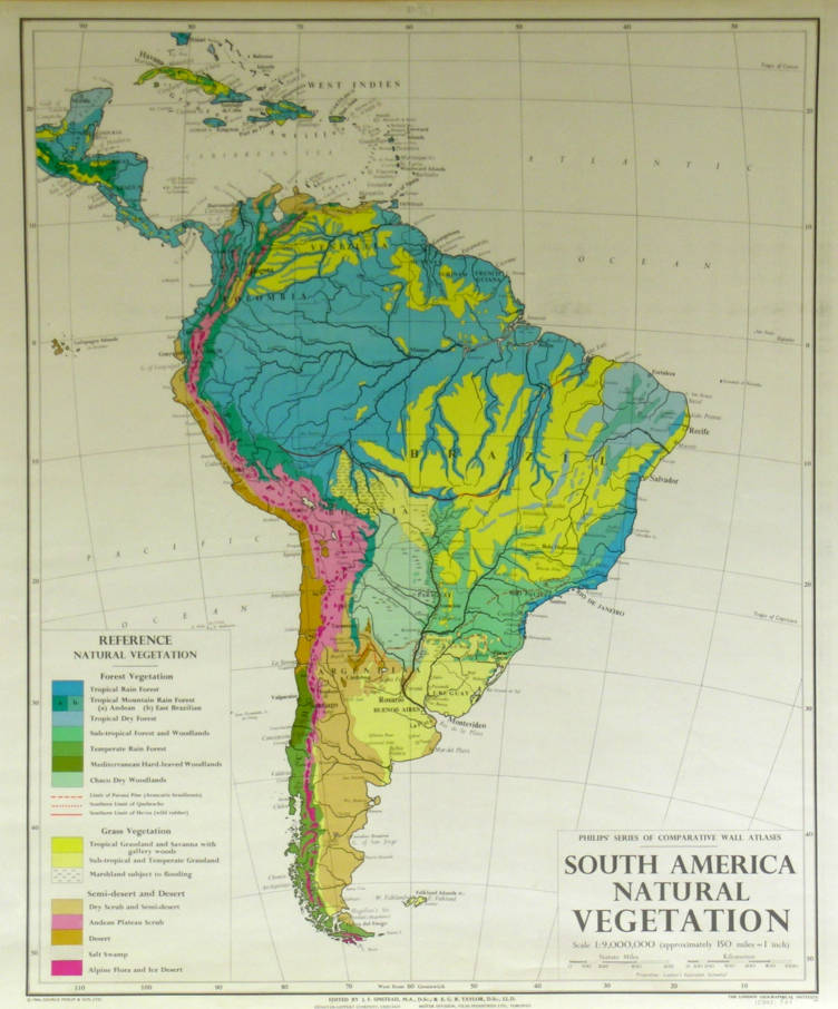 Vegetation South American Deserts Default 