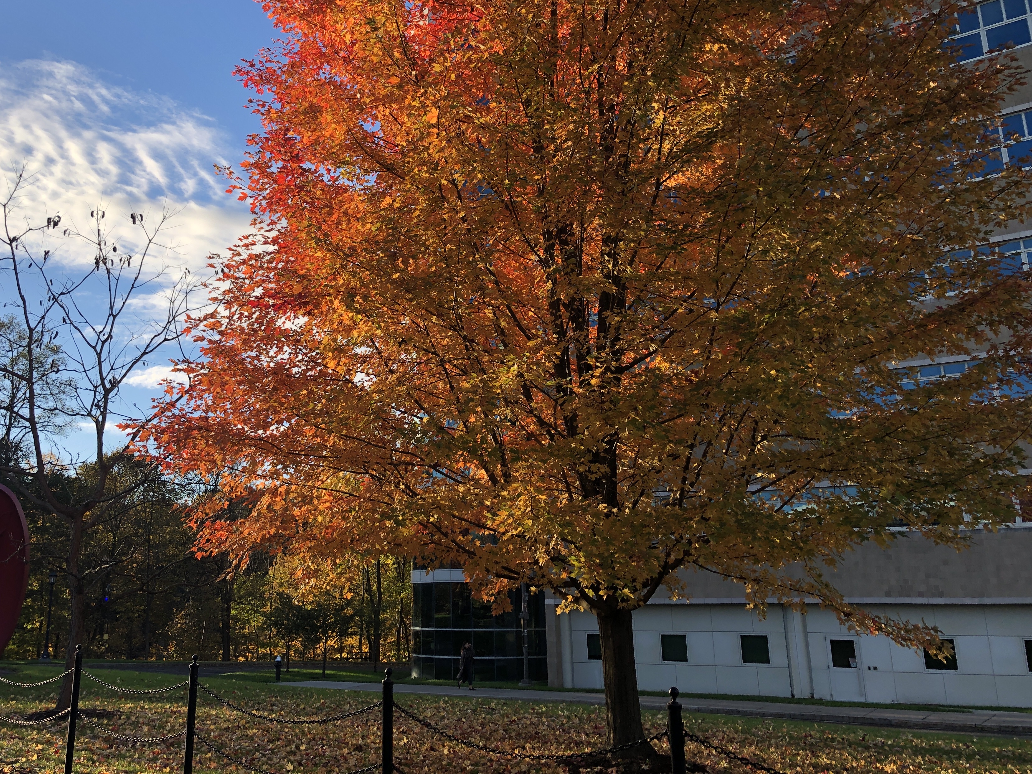 Is More Better? A Call to Stop the Credentialing Craze