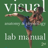 (eBook) (PDF) 
                     Visual Anatomy & Physiology Lab Manual, Cat Version,
    2nd edition