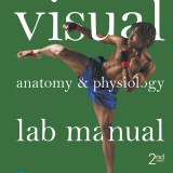 (eBook) (PDF) 
                     Visual Anatomy & Physiology Lab Manual, Main Version,
    2nd edition