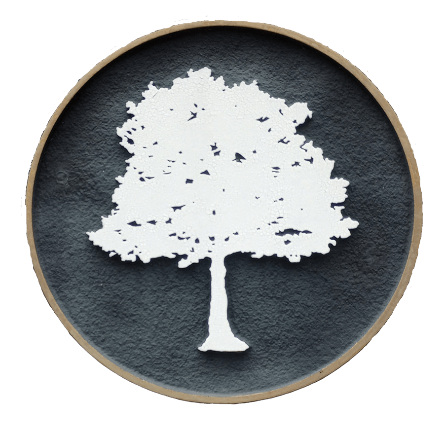 Colleton Park Logo