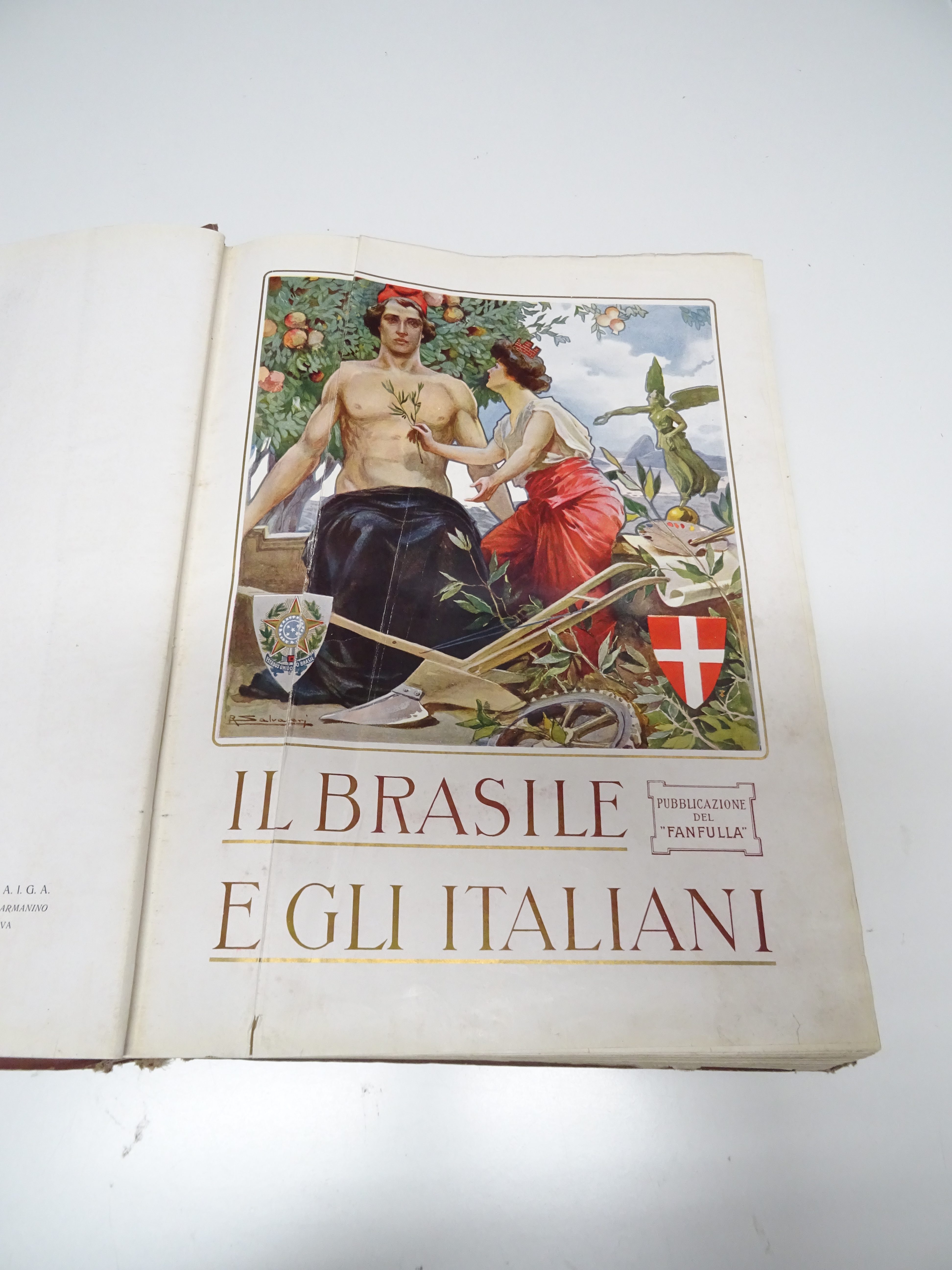 Il Brasile E Gli Italiani – Bemporad & Figlio – Firenze Primo '900 - Collezionando 5184_x_3888_jpg