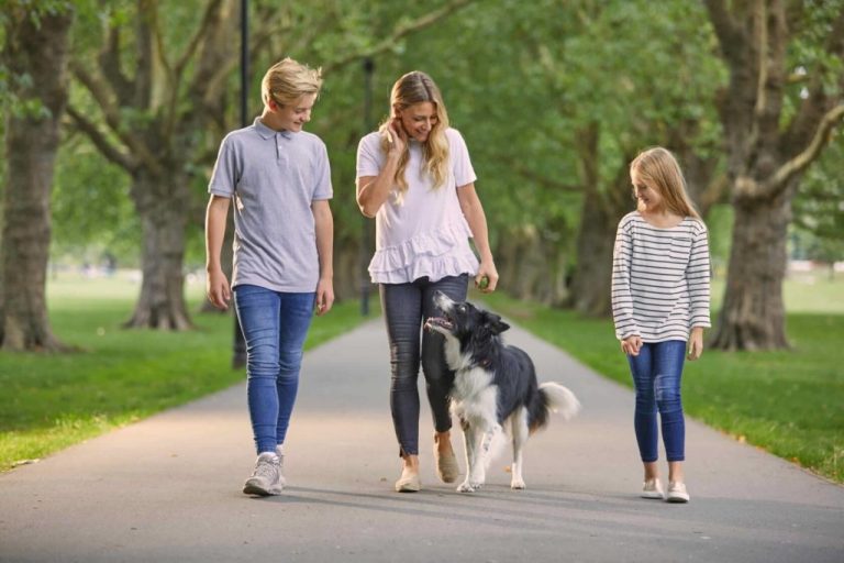 Border collie with family