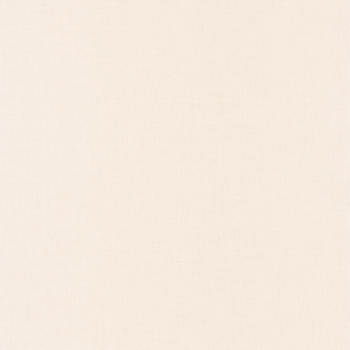 Beige rose