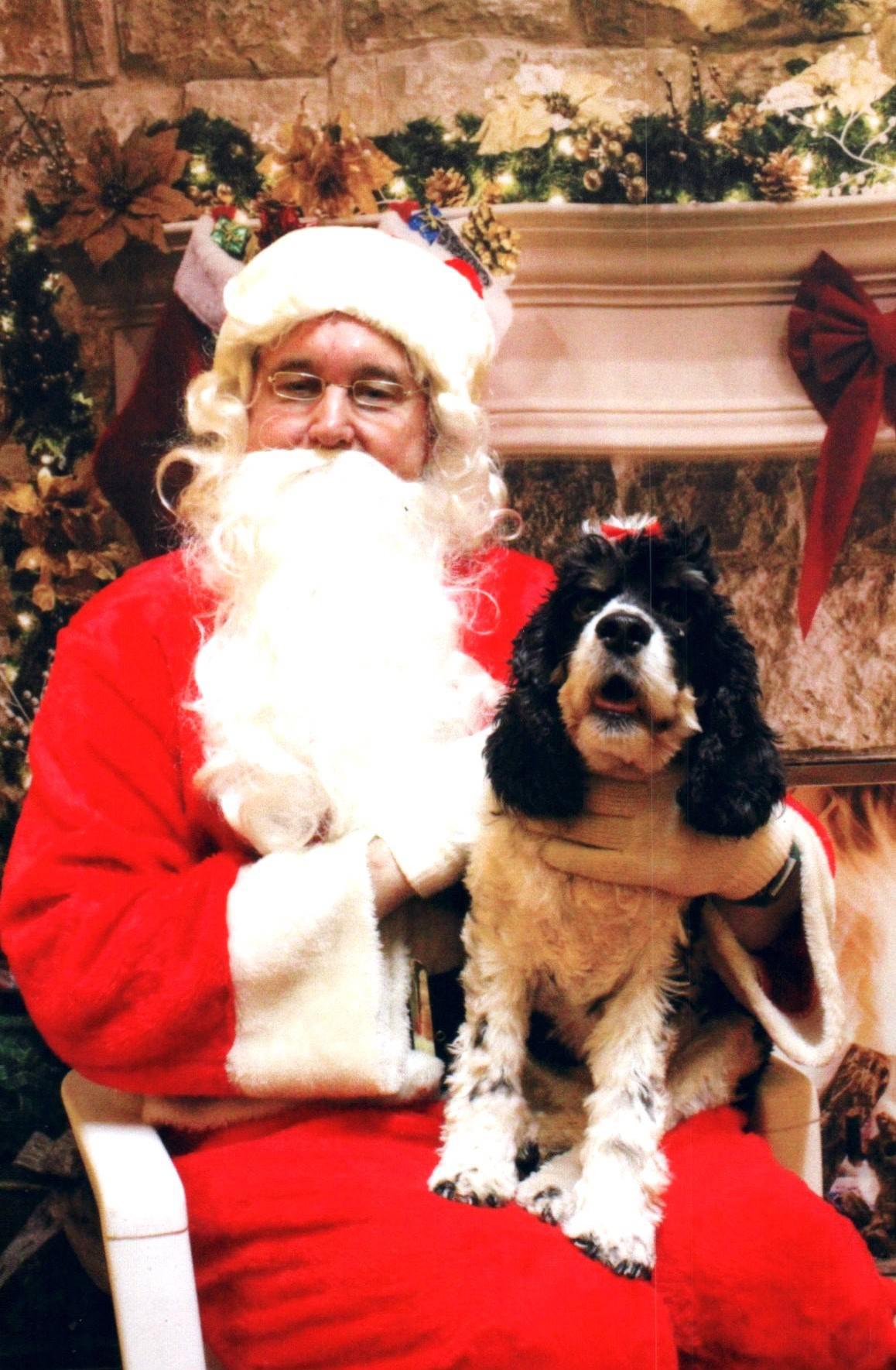 Colonial manor animal hospital gallery