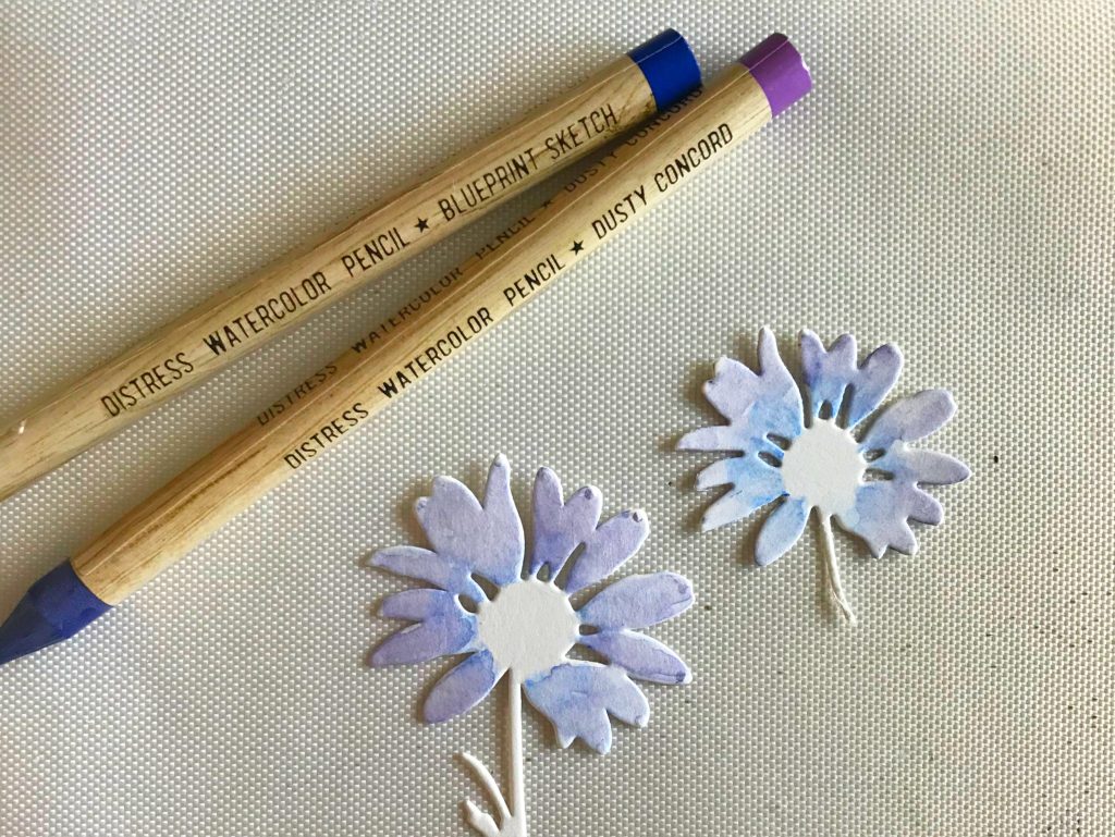 Photo of the daisies from the Wildflower Stems set 1 and Vault Wildflowers die sets and Distress Watercolor Pencils by Tim Holtz.