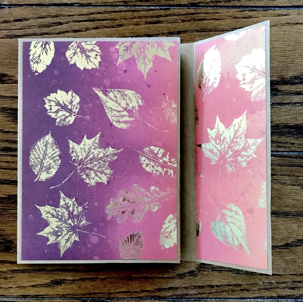 Photo showing the front cover of the Folio Flip Album with the front flap open 