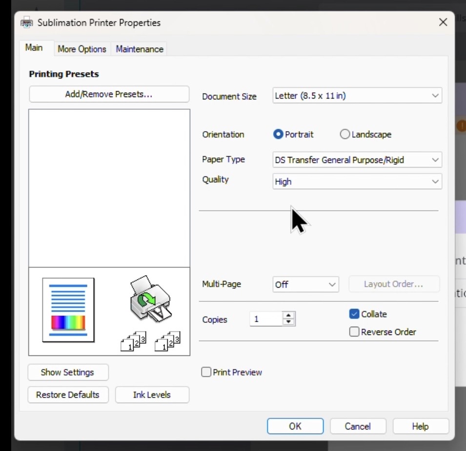 Screen shot showing the first Epson SureColor F170 Sublimation Printer print preview screen to choose the surface and print quality.