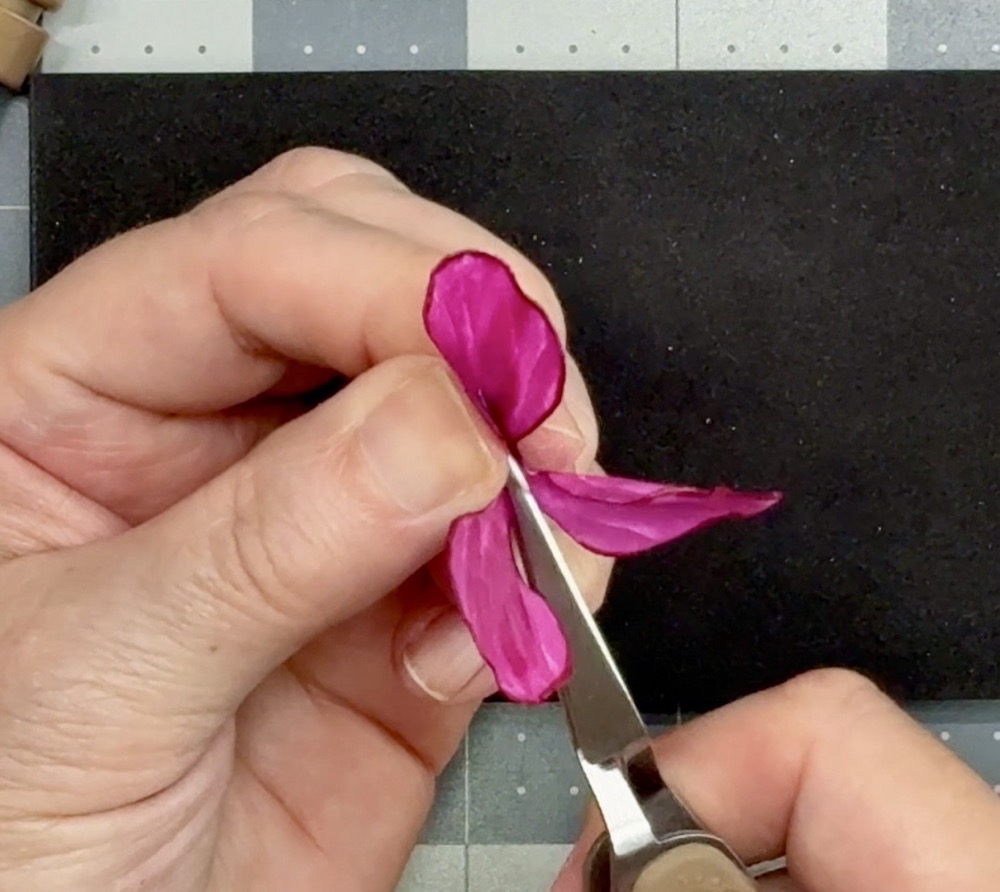 Screen shot showing the second step in shaping the Helleborus flower by pinching the petal at the base.