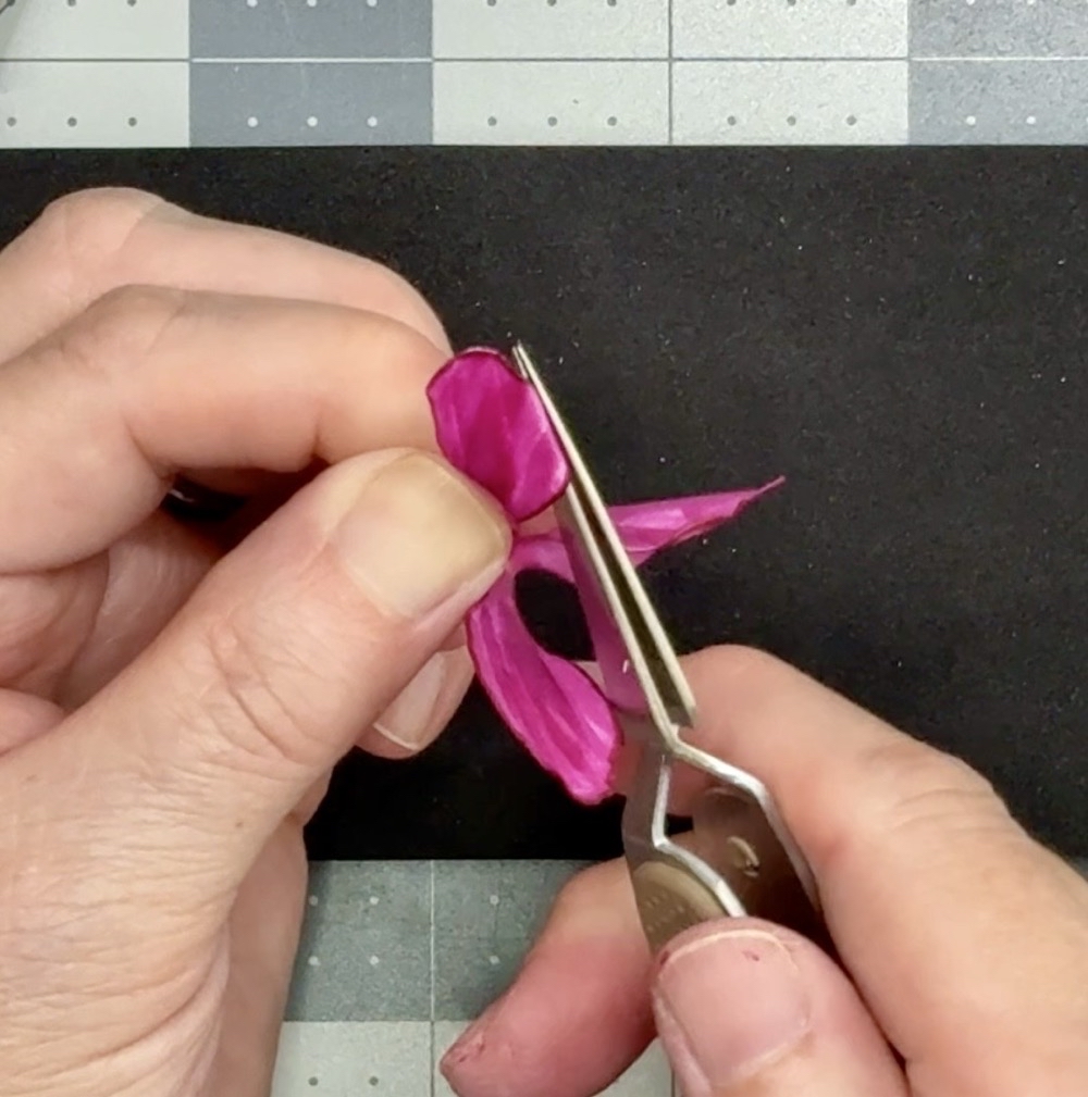 Screen shot showing the third step in shaping the Helleborus flower by holding the pinch at the base of the petal and gently rolling the edge of the petal with a pair of reverse tweezers.