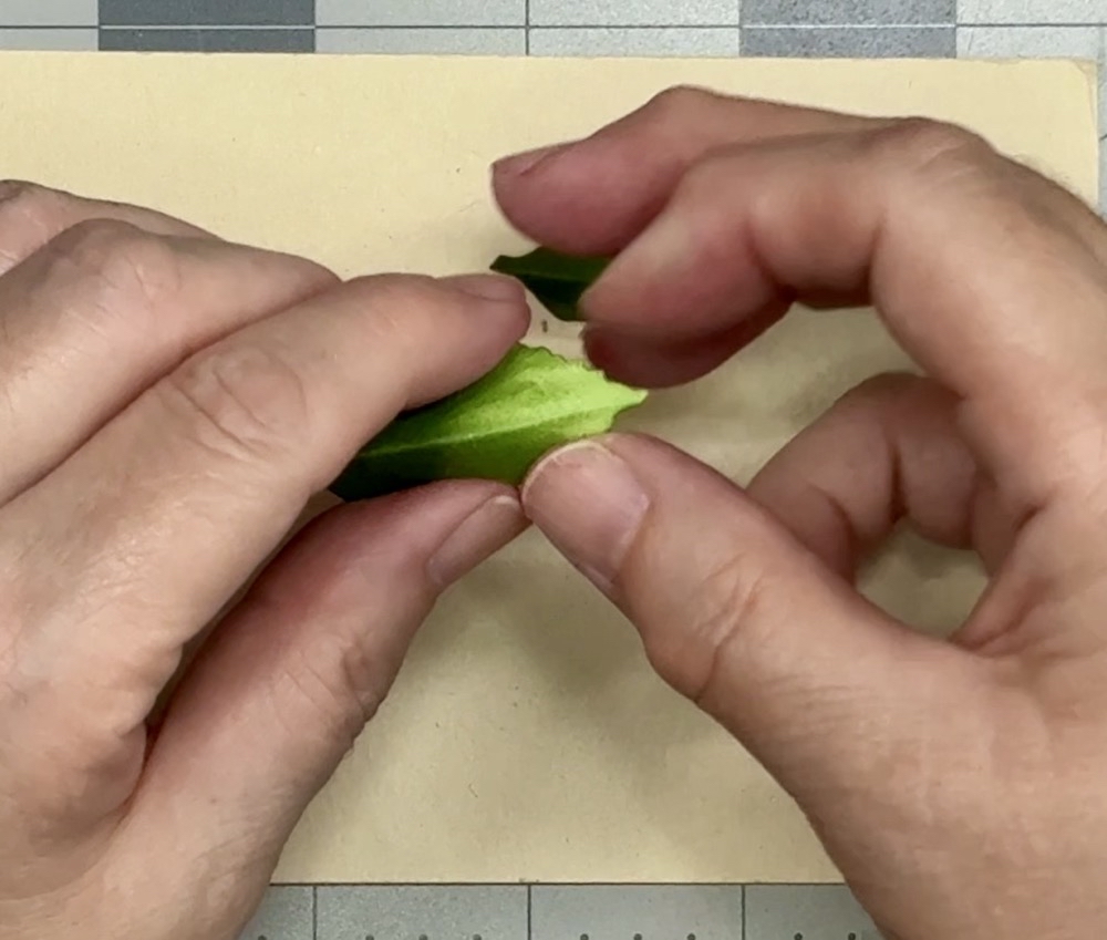 Screen shot showing the second step in shaping the leaf by folding on the stem line from the front of the leaf for today’s Handmade Christmas Ornament with a Cardstock Flower project.