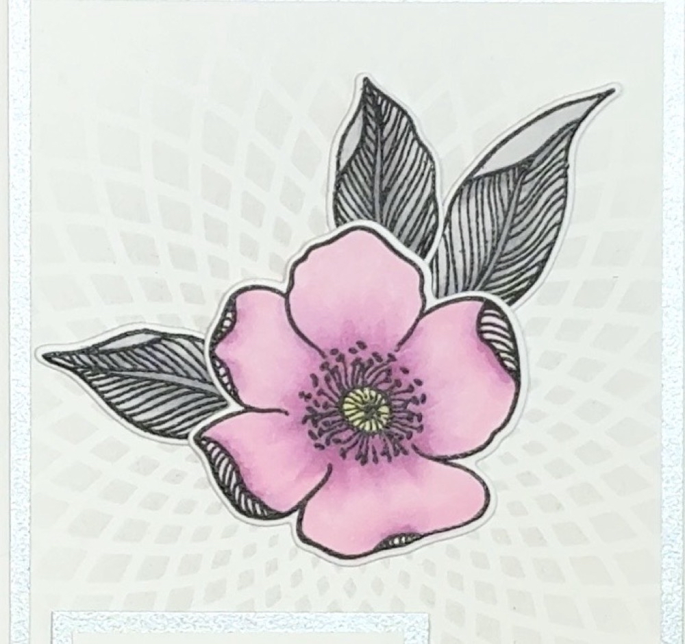 Screen shot of the first possible way to design three leaves from the Adore You stamp set around a single Copic colored flower.