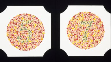 Have Red-Green Color Blindness? Tell 'Nightline'