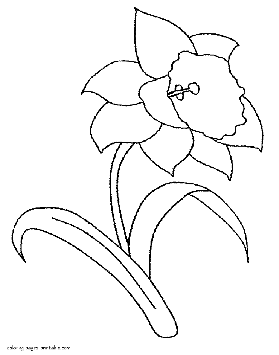 Daffodil, printable worksheets for kids and adults. Daffodil Coloring Pages Coloring Pages Printable Com