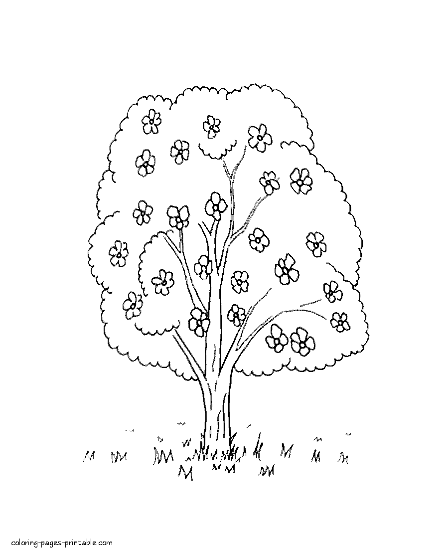 School's out for summer, so keep kids of all ages busy with summer coloring sheets. Spring Nature Coloring Page Blossom Tree Coloring Pages Printable Com