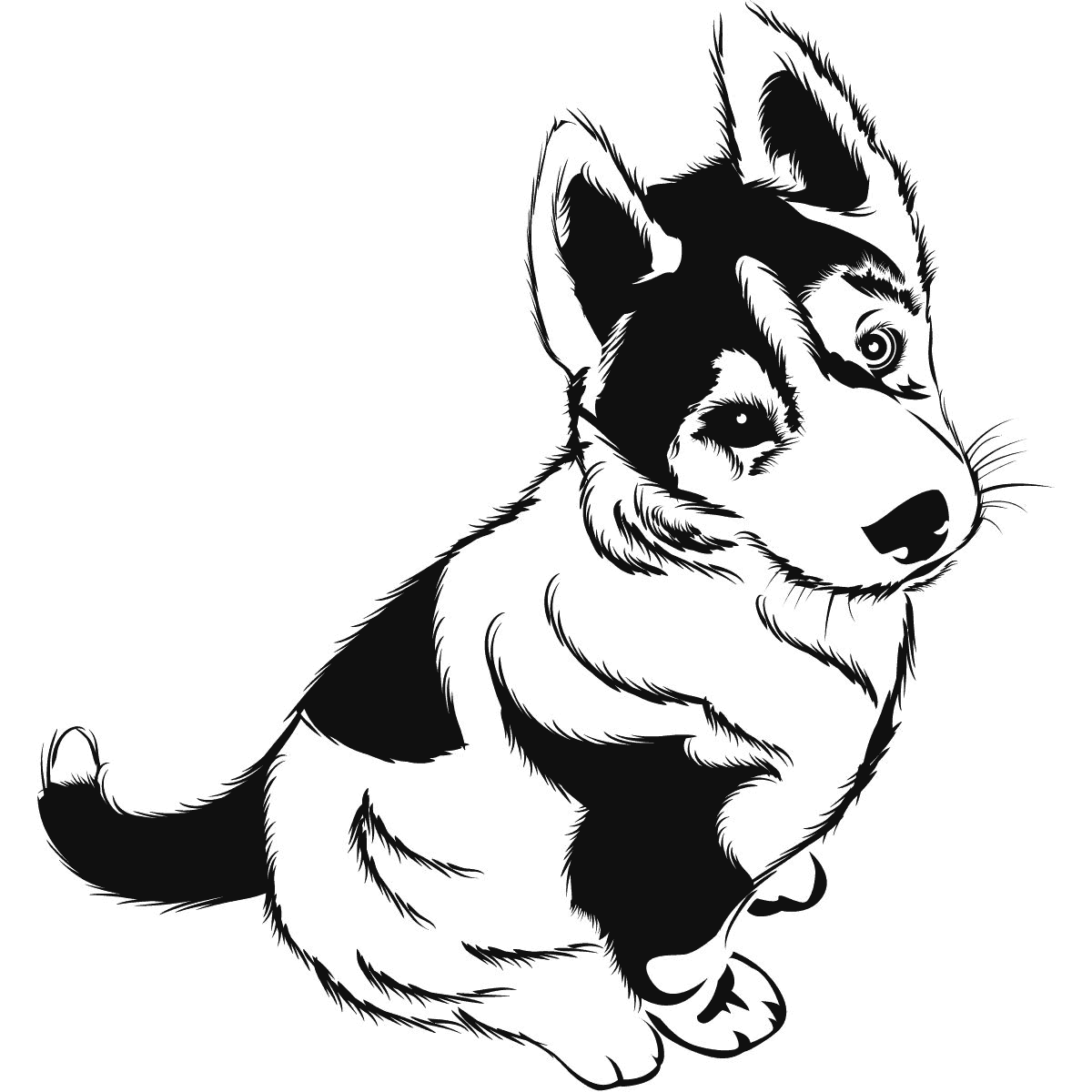 Coloriage chien à imprimer ❤️ avec 153 dessins chien à colorier ✏️ le chien. Realistic Puppy Coloring Page â coloring.rocks!