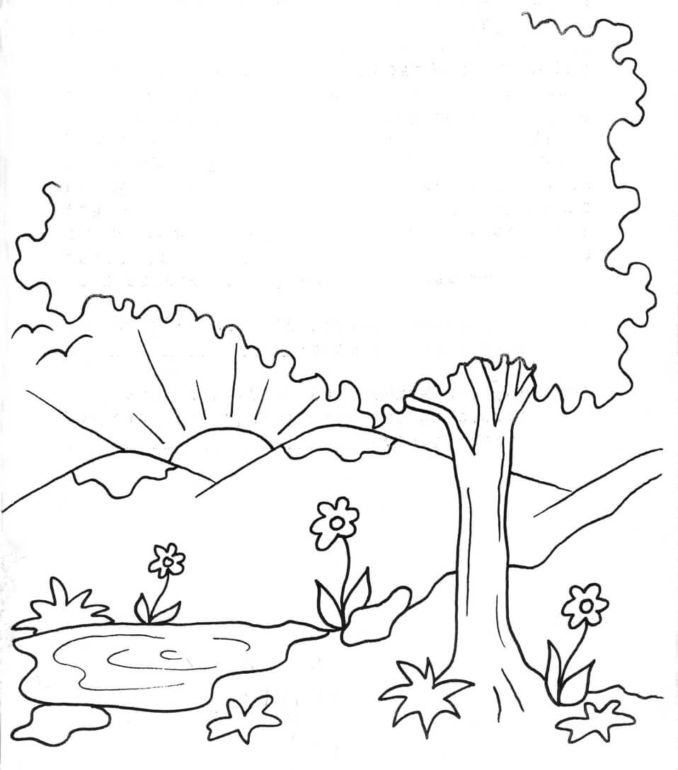 Creation coloring pages