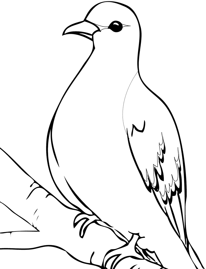 Dove coloring pages