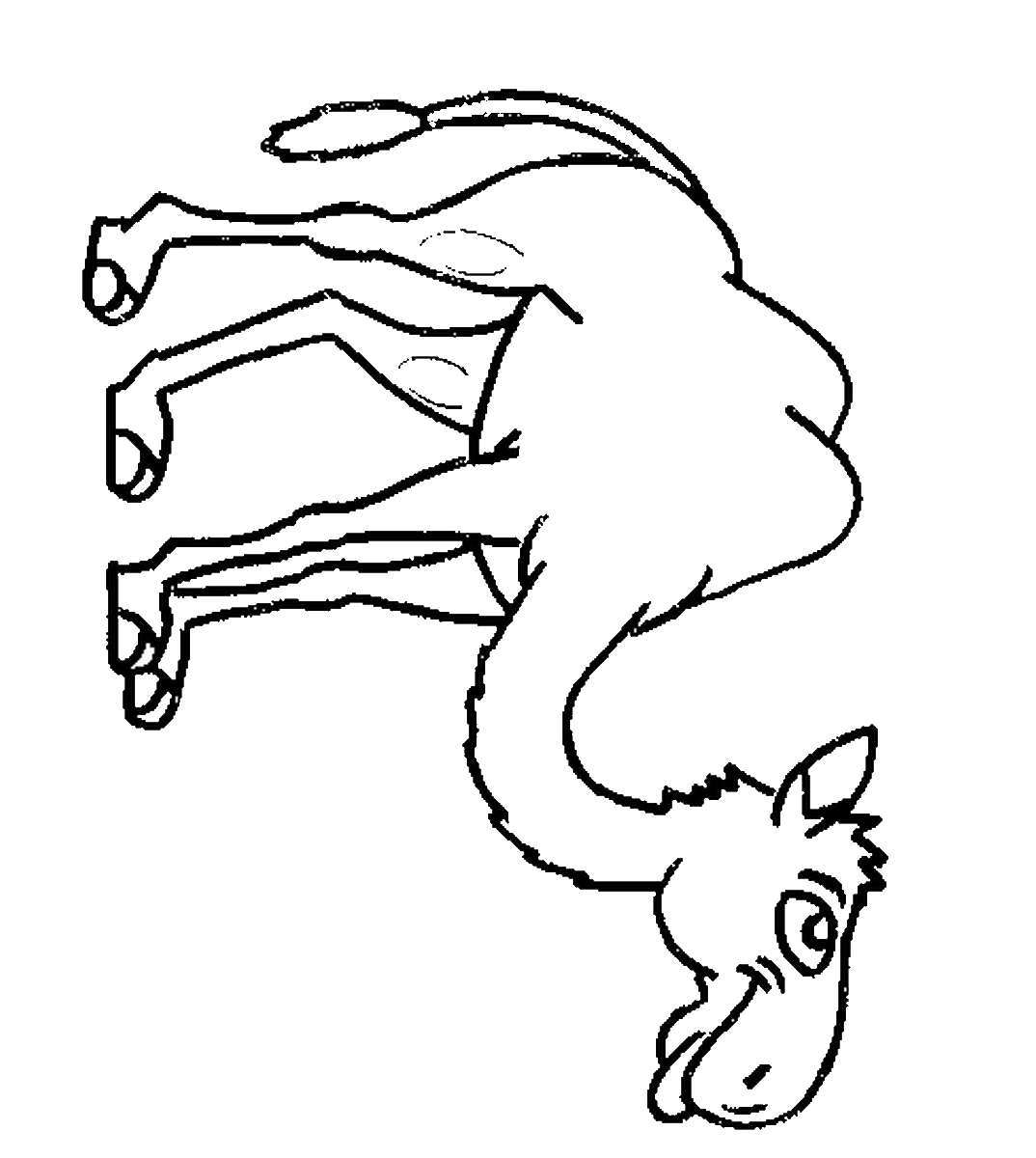 Camel coloring pages