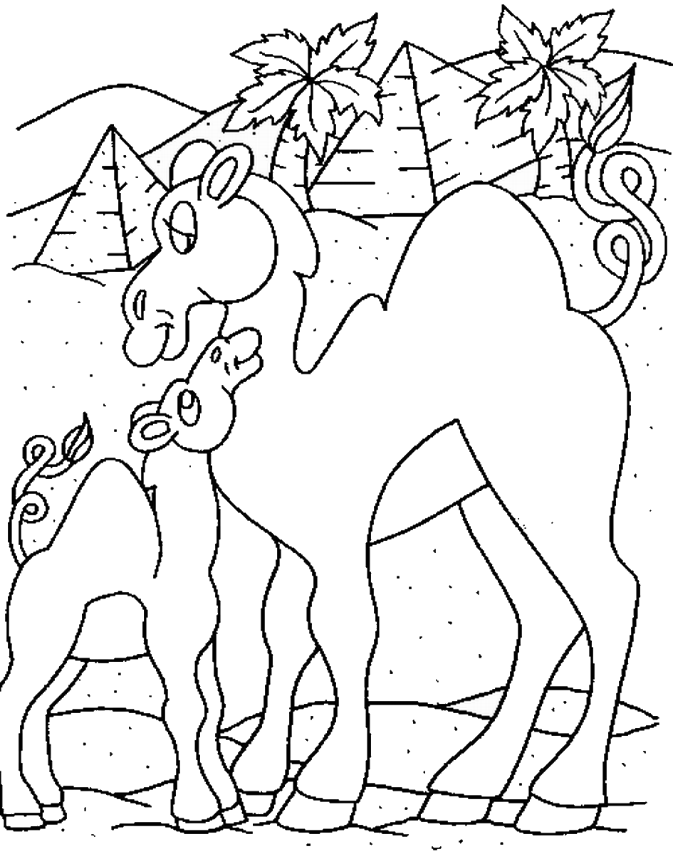 Camel coloring pages